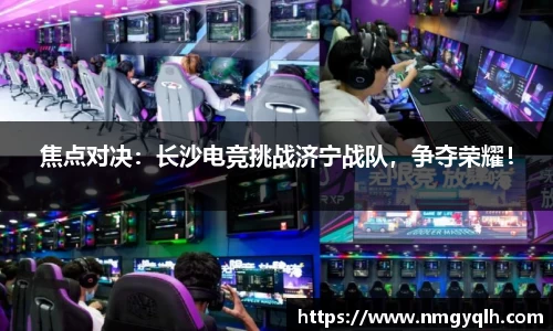 凤凰联盟平台