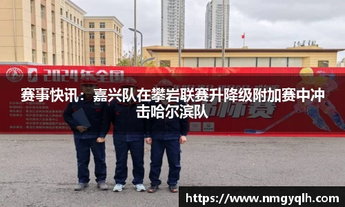 凤凰联盟