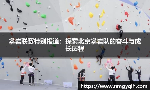凤凰联盟官网