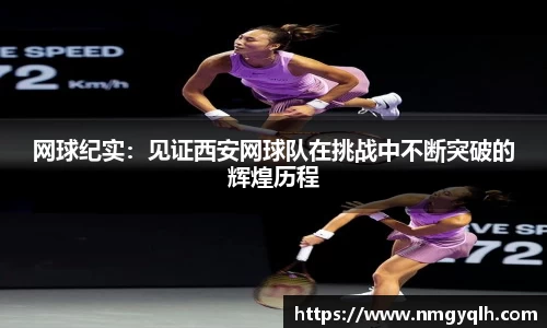 凤凰联盟官网