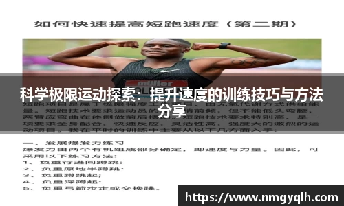 凤凰联盟平台