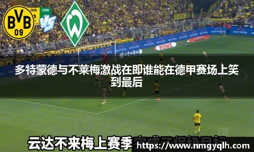 凤凰联盟官网