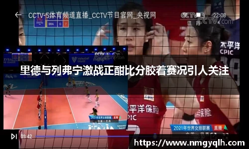 凤凰联盟官方网站