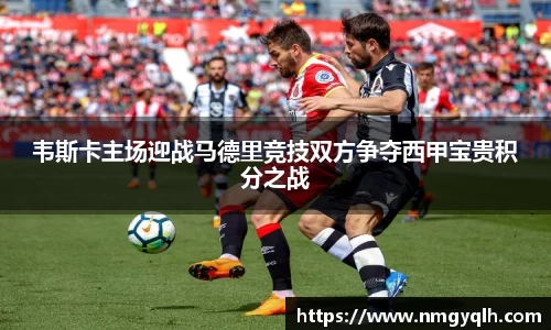 凤凰联盟平台